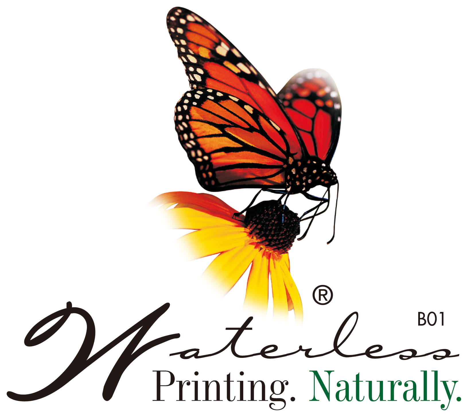 waterless printing association